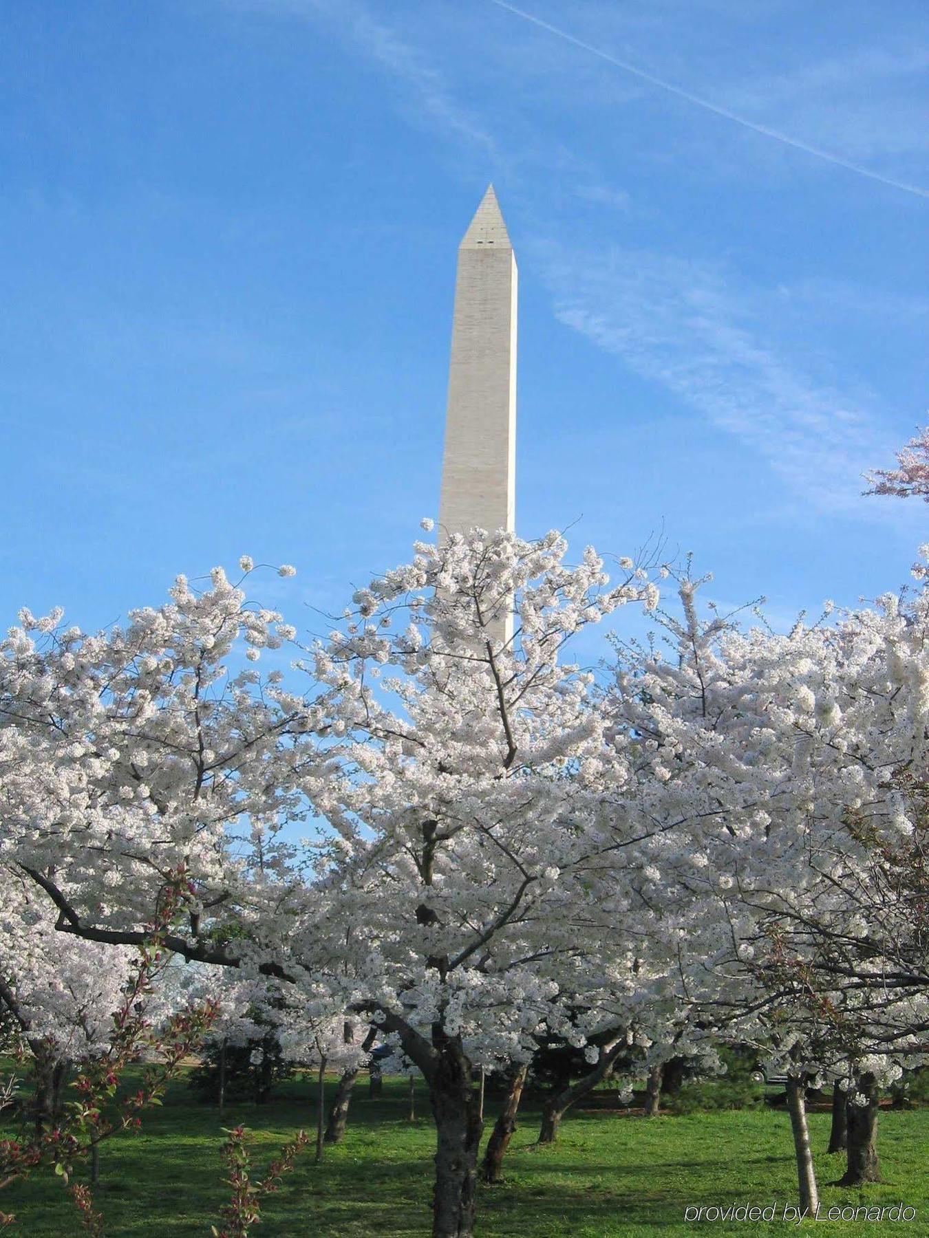 Holiday Inn Washington D.C. - Greenbelt Maryland By Ihg Экстерьер фото